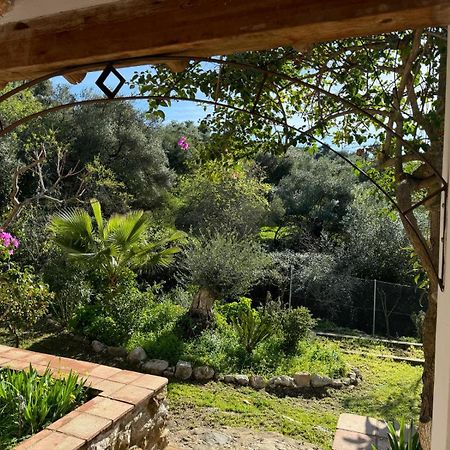 La Fontana Villa Cortes de la Frontera Kültér fotó