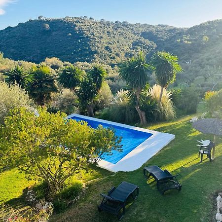 La Fontana Villa Cortes de la Frontera Kültér fotó