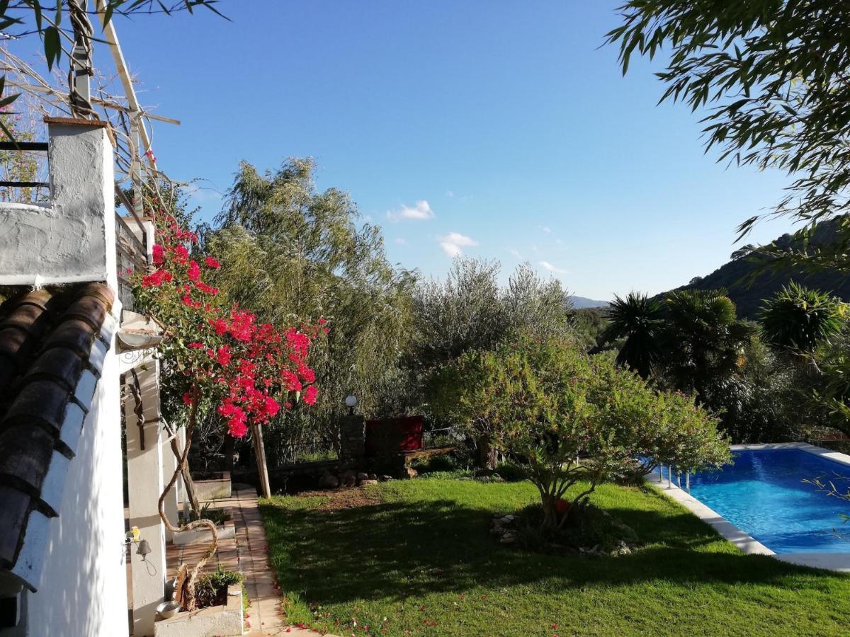 La Fontana Villa Cortes de la Frontera Kültér fotó