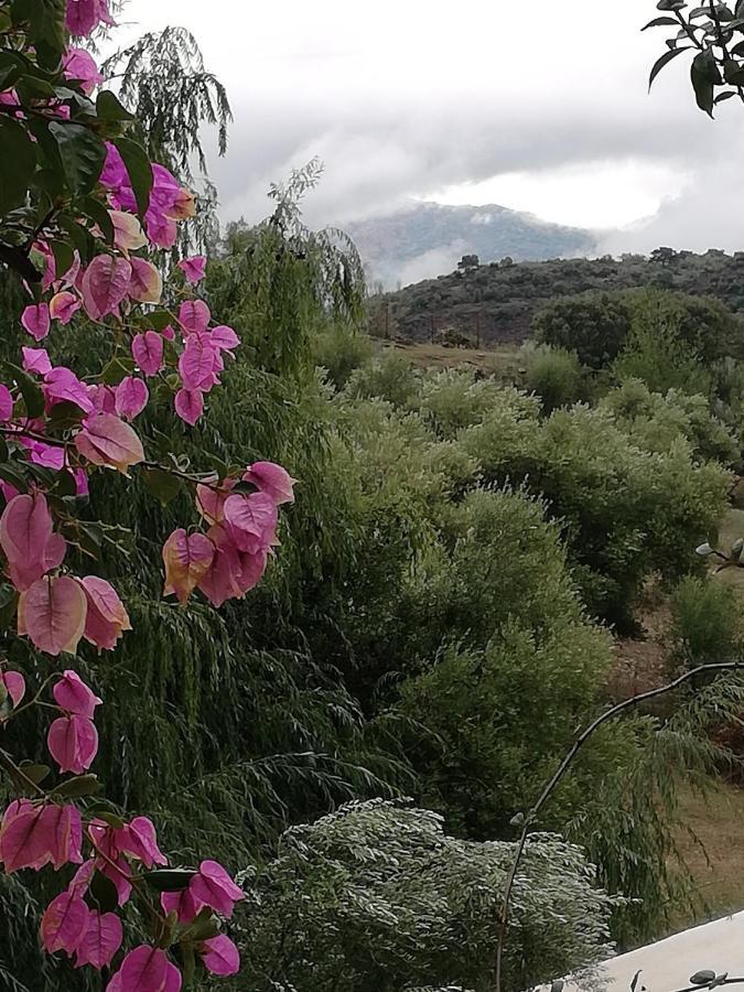 La Fontana Villa Cortes de la Frontera Kültér fotó
