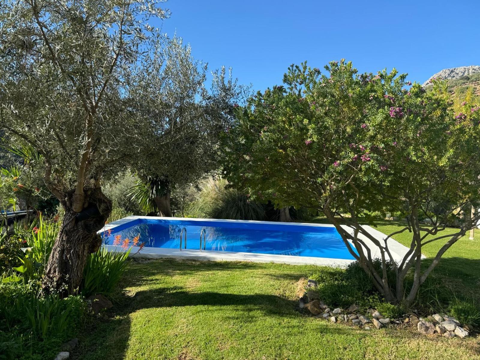 La Fontana Villa Cortes de la Frontera Kültér fotó