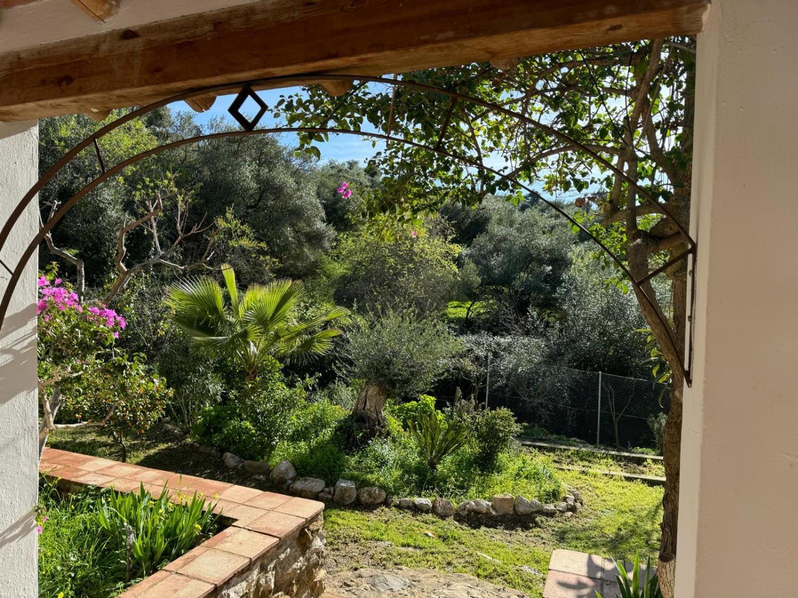 La Fontana Villa Cortes de la Frontera Kültér fotó