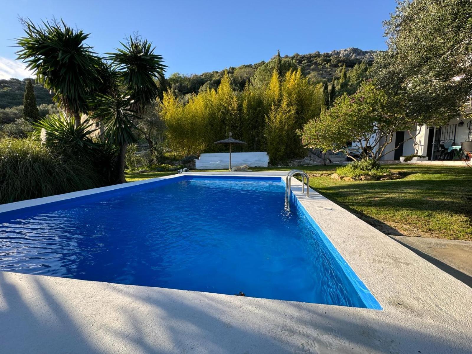 La Fontana Villa Cortes de la Frontera Kültér fotó