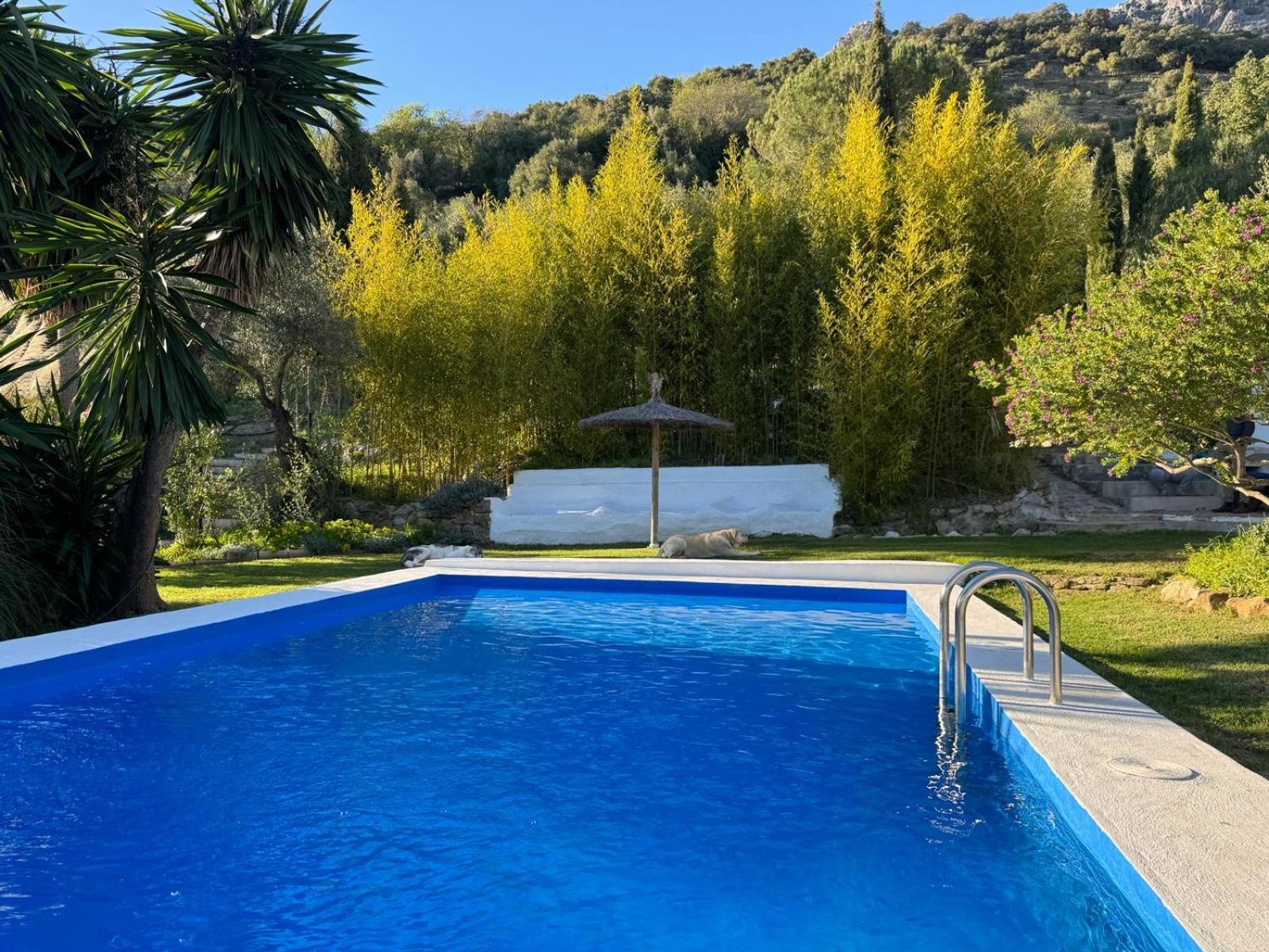 La Fontana Villa Cortes de la Frontera Kültér fotó
