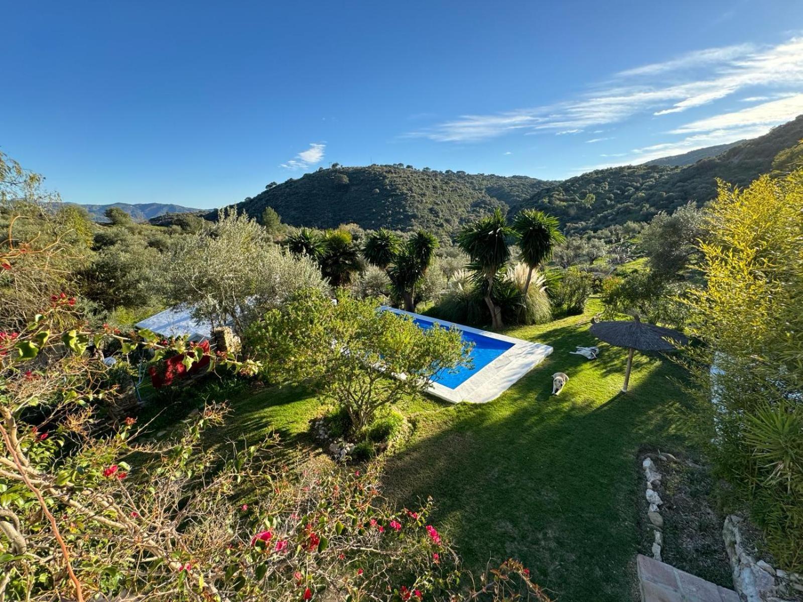 La Fontana Villa Cortes de la Frontera Kültér fotó