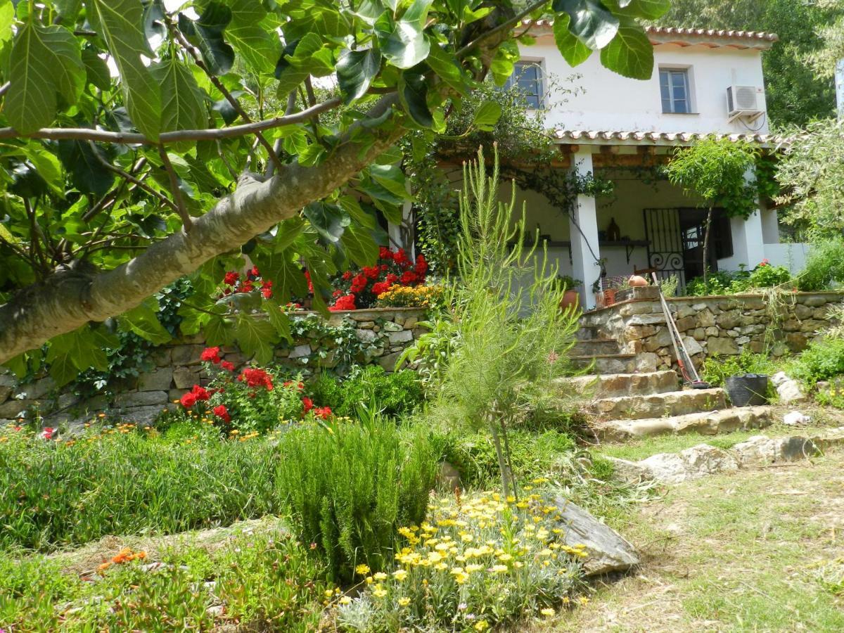 La Fontana Villa Cortes de la Frontera Kültér fotó