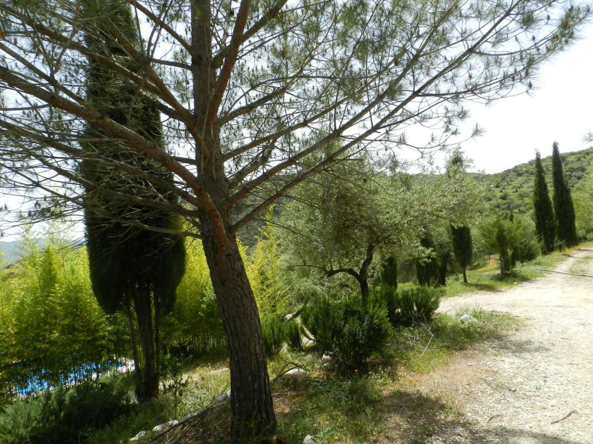 La Fontana Villa Cortes de la Frontera Kültér fotó