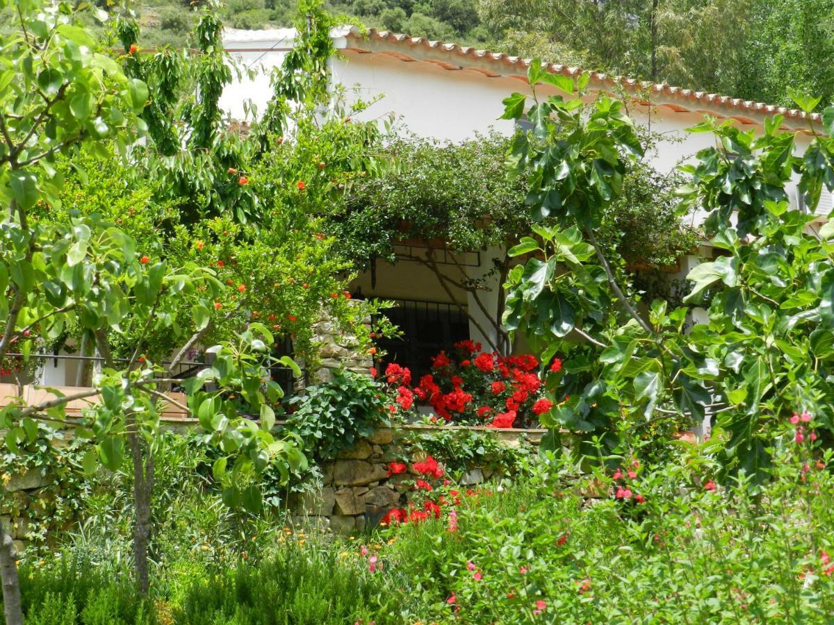 La Fontana Villa Cortes de la Frontera Kültér fotó
